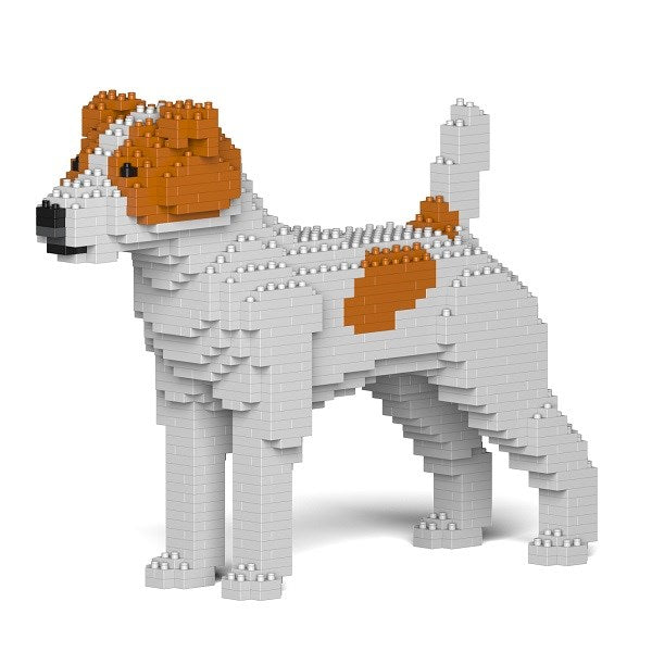 Jekca: Jack Russell Terrier