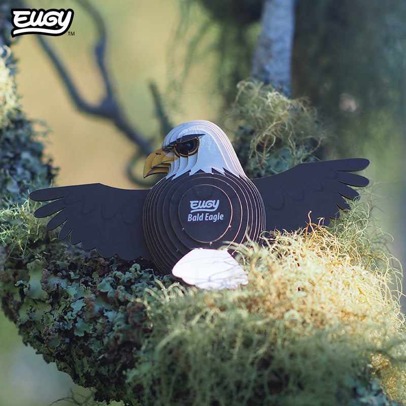 EUGY Bald Eagle - 3D Model Kit