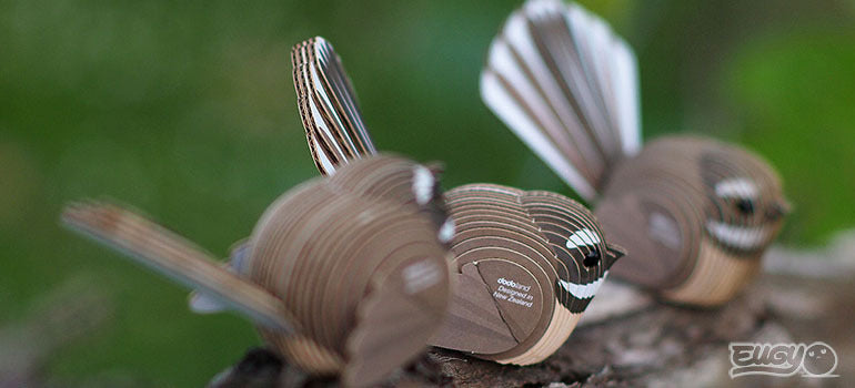 Eugy 3D Paper Model: Fantail