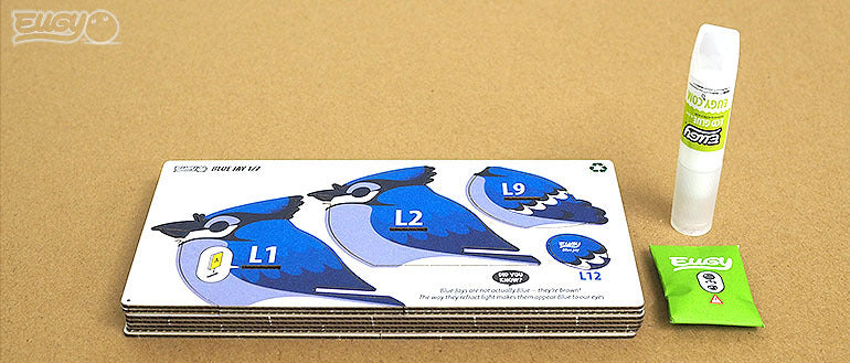Eugy 3D Paper Model: Blue Jay