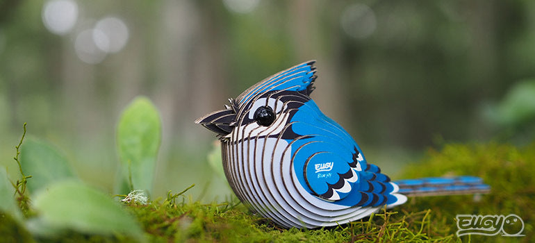Eugy 3D Paper Model: Blue Jay