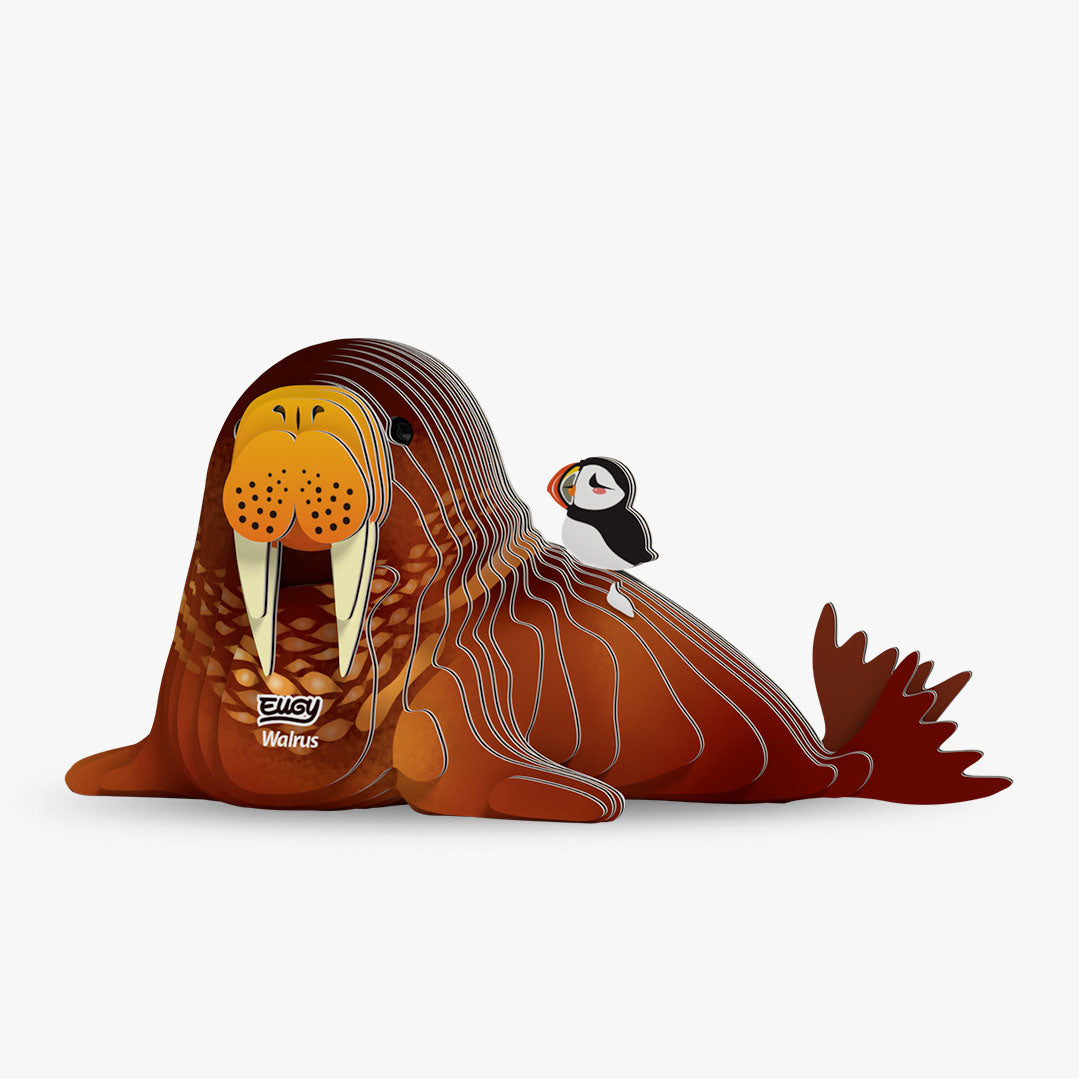 EUGY 3D Puzzle - Walrus
