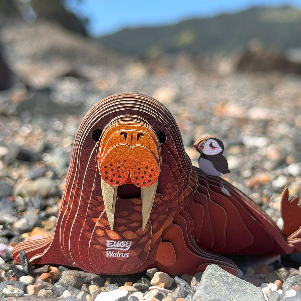 EUGY 3D Puzzle - Walrus
