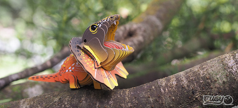 Eugy 3D Paper Model: Frilled Lizard