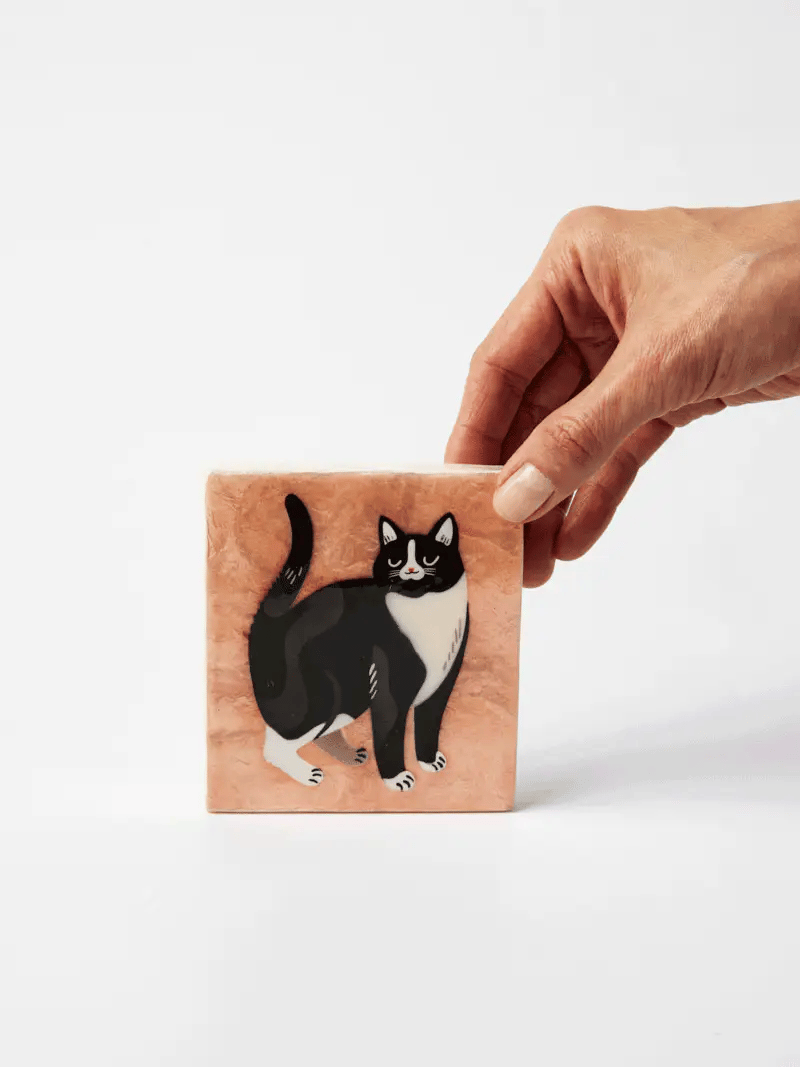 Jones & Co: Purr Shorthair Cat