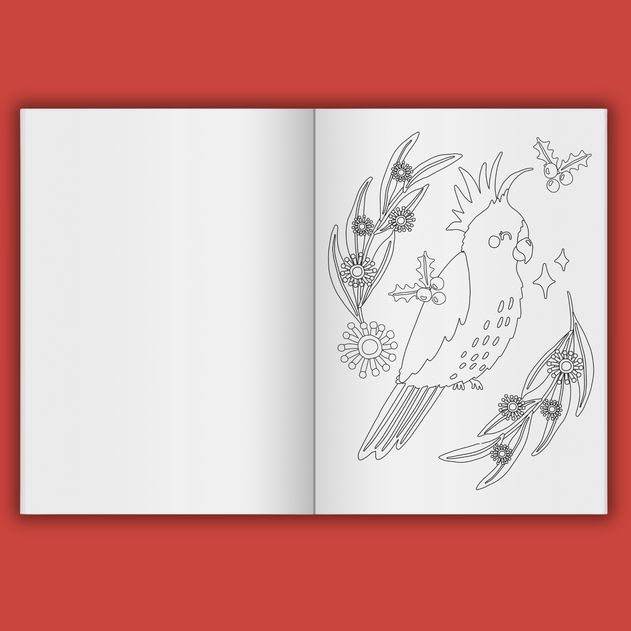 Five Mile Merry Aussie Christmas Colouring Book