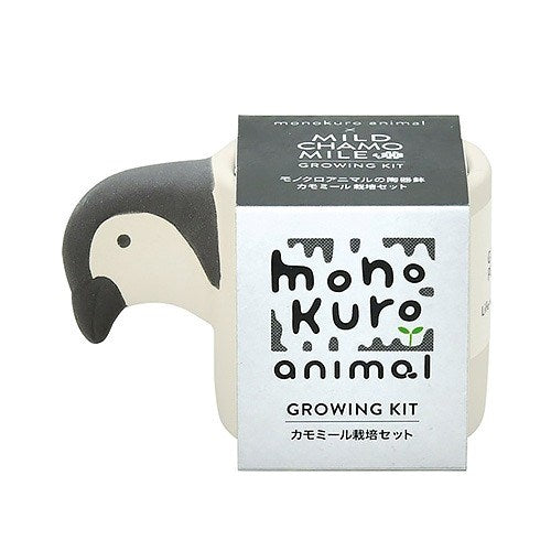 Seishin: Growing Kit Monokuro Penguin Mild Chamomile