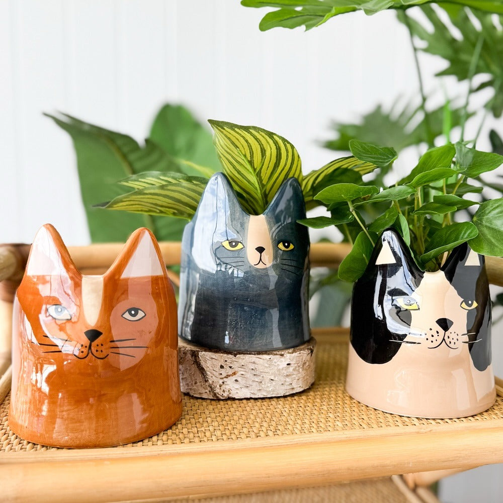 Bailey Cat Planter Blue