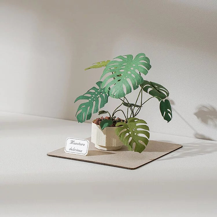 Plant Paper Model - Monstera deliciosa