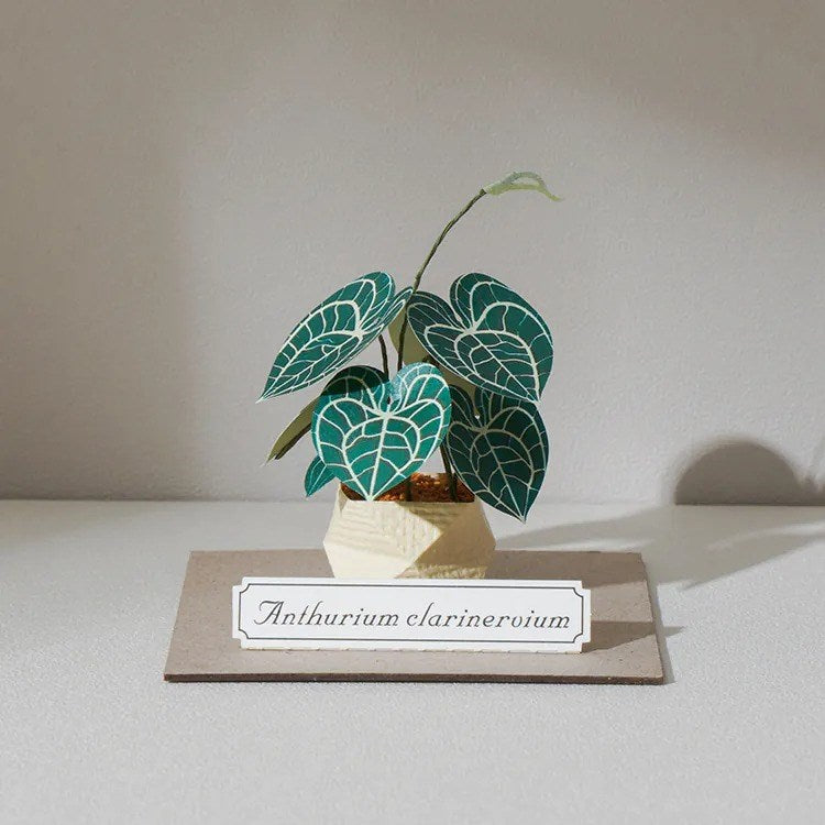 Plant Paper Model - Anthurium clarinervium
