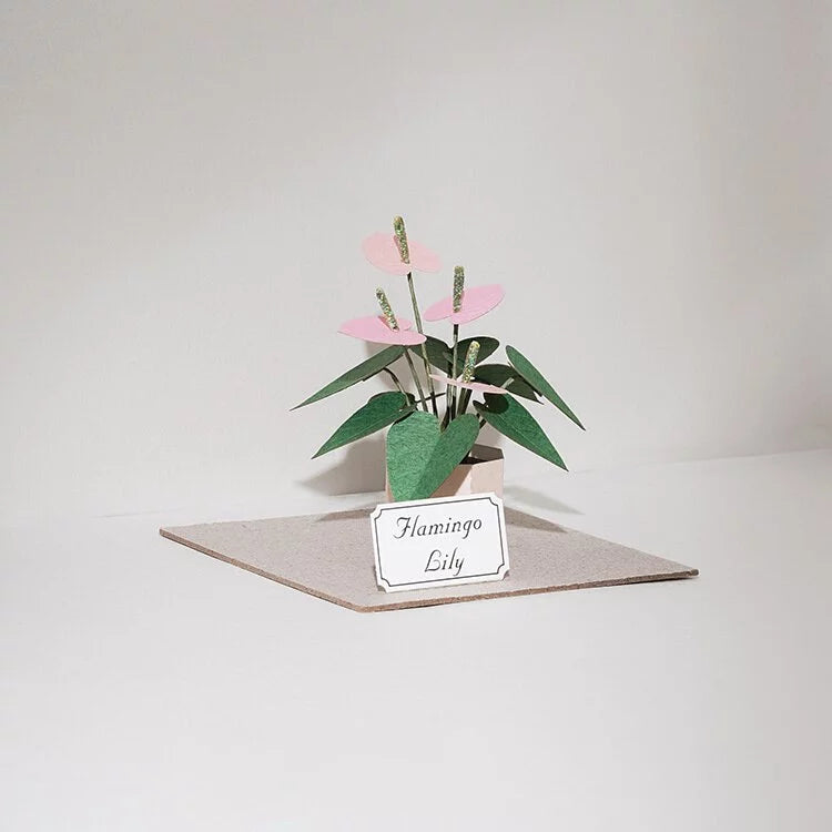 Plant Paper Model - Flamingo Lily (S)