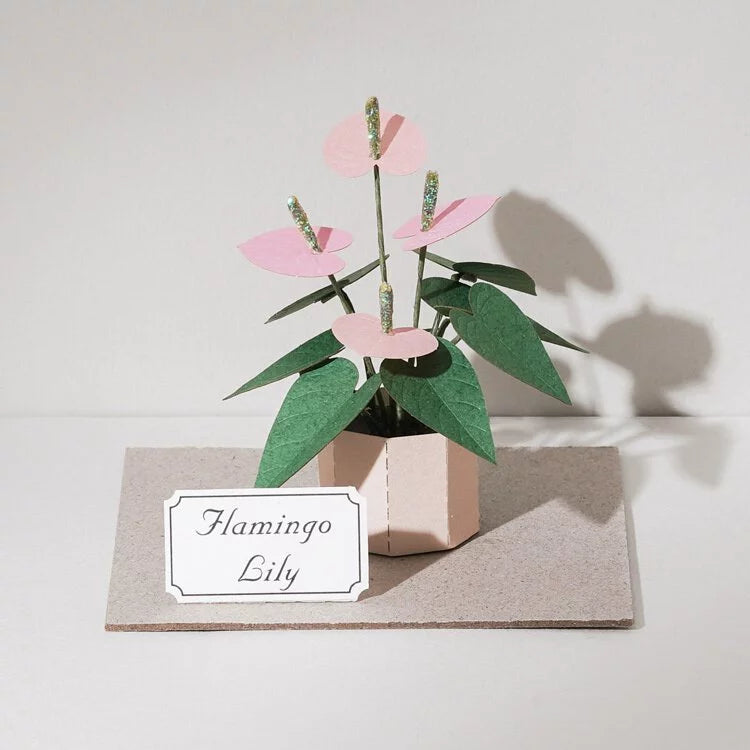 Plant Paper Model - Flamingo Lily (S)