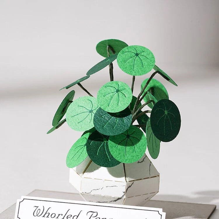 Plant Paper Model - Whorled Pennywort (S)