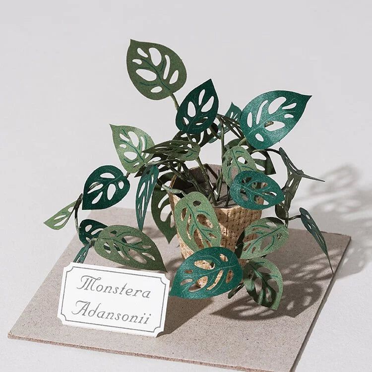 Plant Paper Model - Monstera adansonii (S)