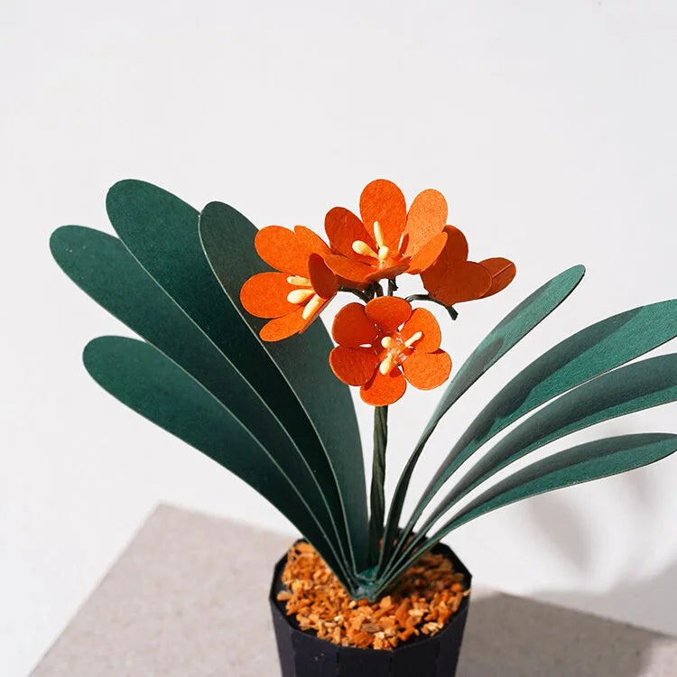 Plant Paper Model - Clivia Miniata (S)
