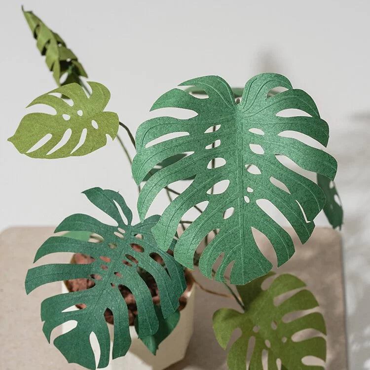 Plant Paper Model - Monstera deliciosa