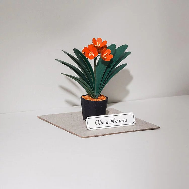 Plant Paper Model - Clivia Miniata (S)