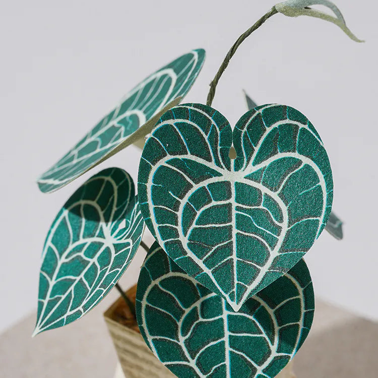 Plant Paper Model - Anthurium clarinervium