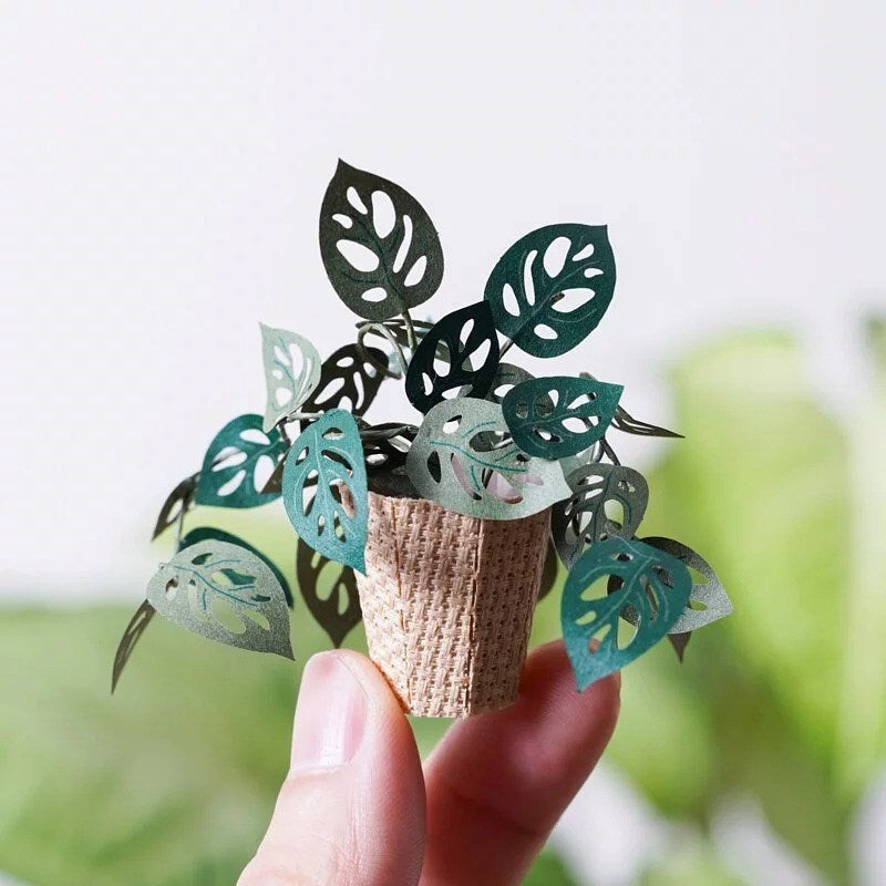 Plant Paper Model - Monstera adansonii (S)