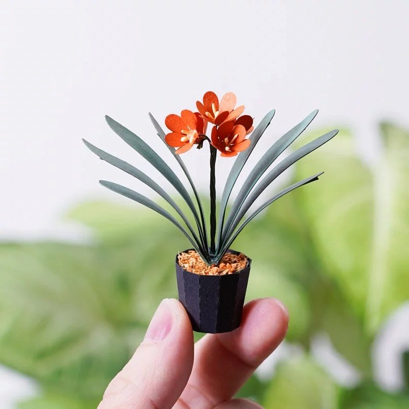 Plant Paper Model - Clivia Miniata (S)