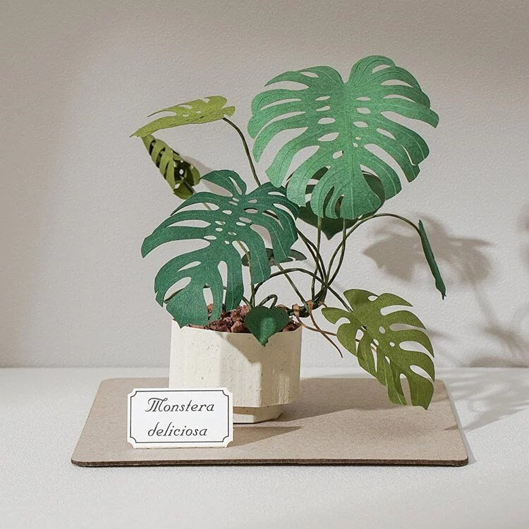 Plant Paper Model - Monstera deliciosa