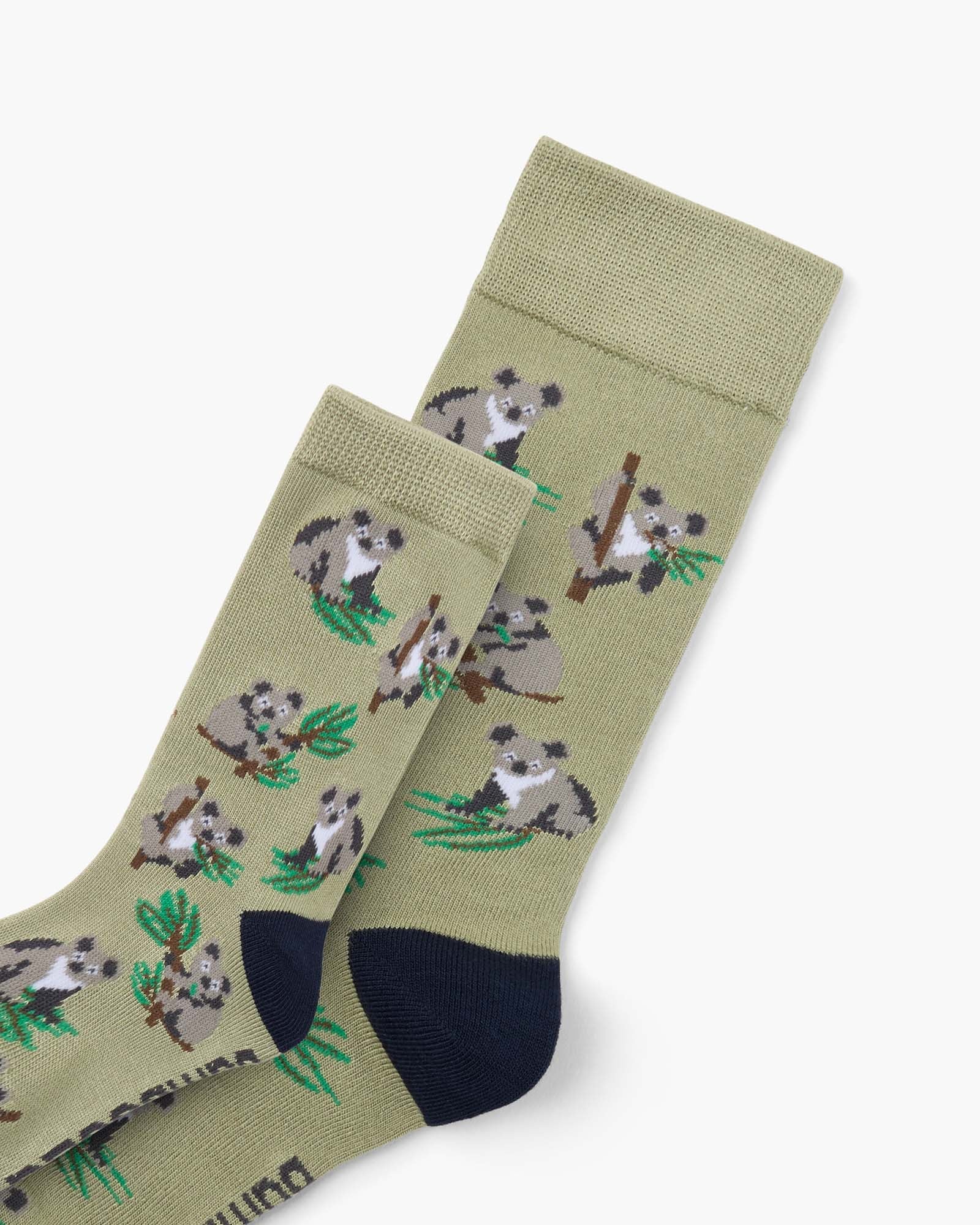Bamboozld Duo Men's & Kids Koala Bamboo Socks - Sage