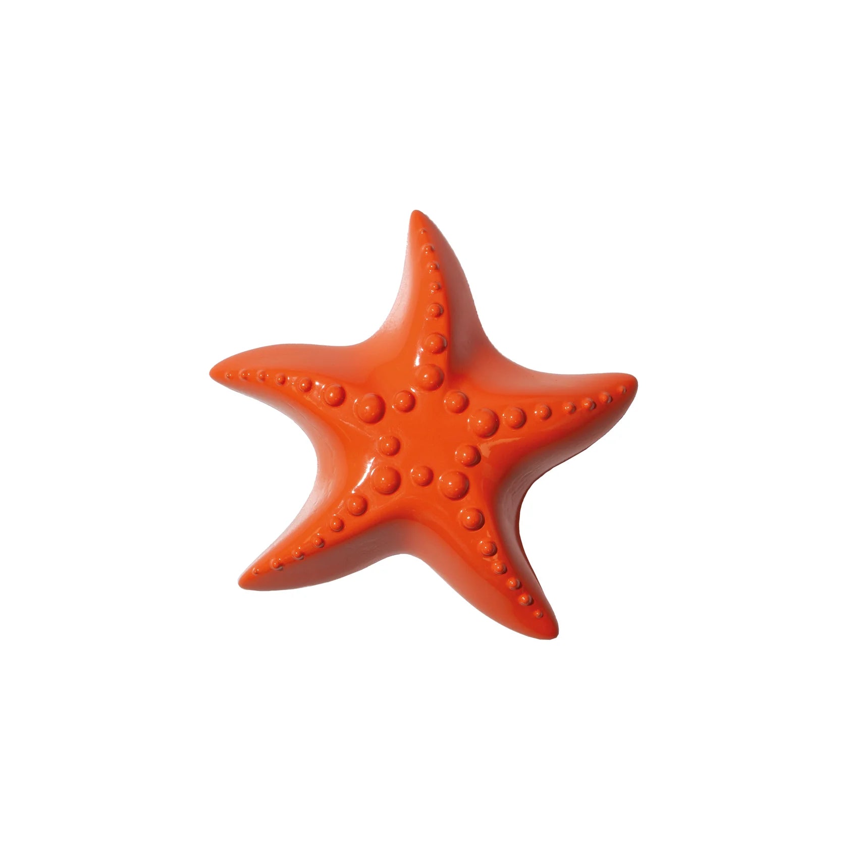 Doiy: Ocean Dreams Bottle Opener Starfish