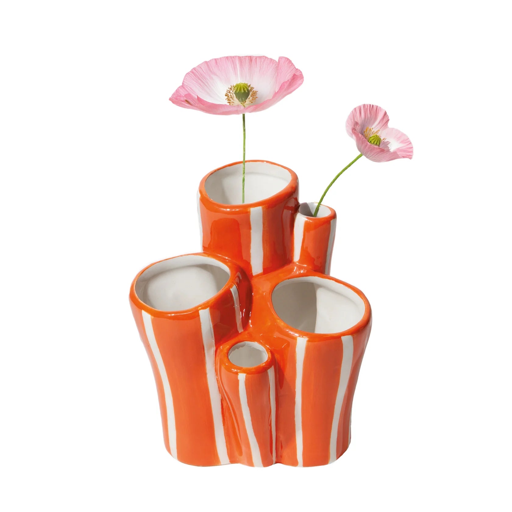 Doiy: Ocean Dreams Pot Coral