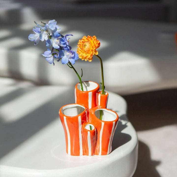 Doiy: Ocean Dreams Pot Coral