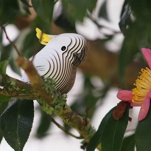 Eugy 3D Paper Model: Cockatoo