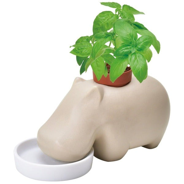 Seishin: Self watering plant Hippoplant