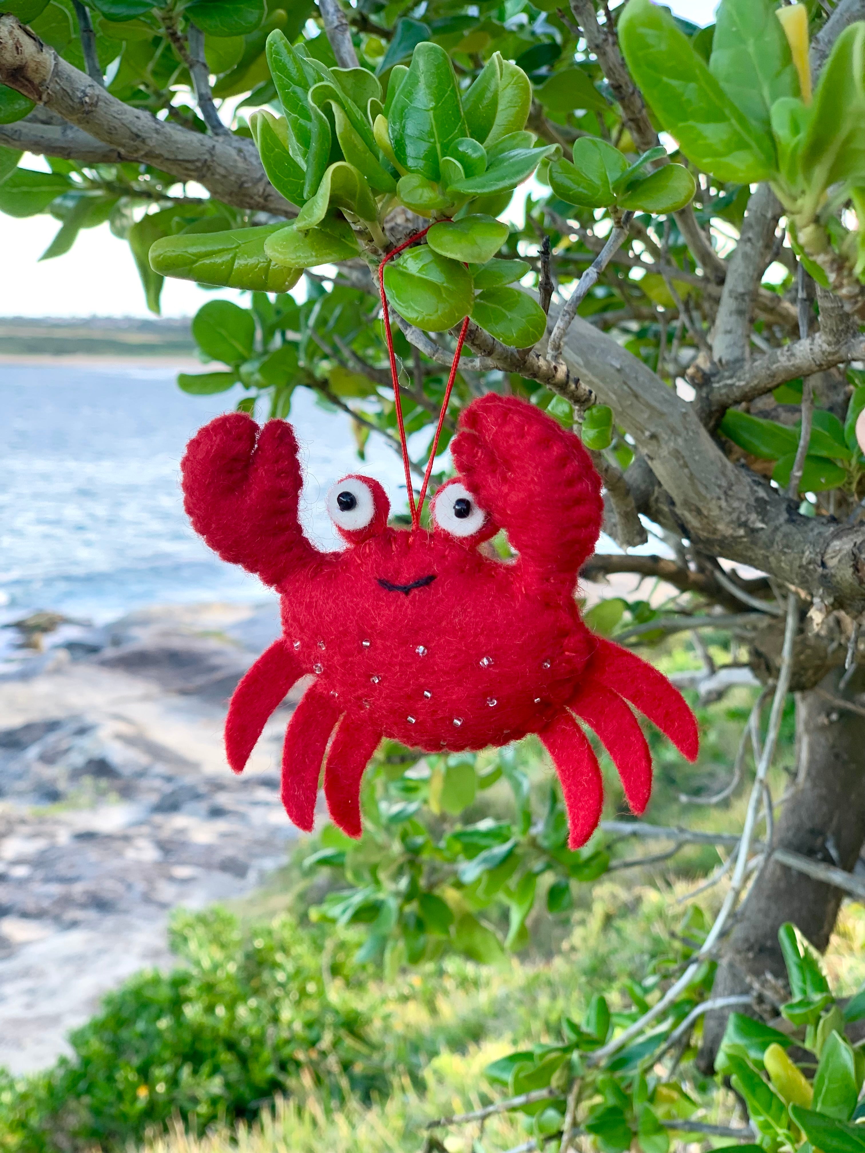 Pashom: Xmas Ornament Crab