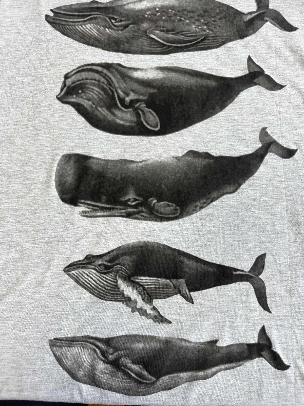 Whales Grey Marle Mens Tee