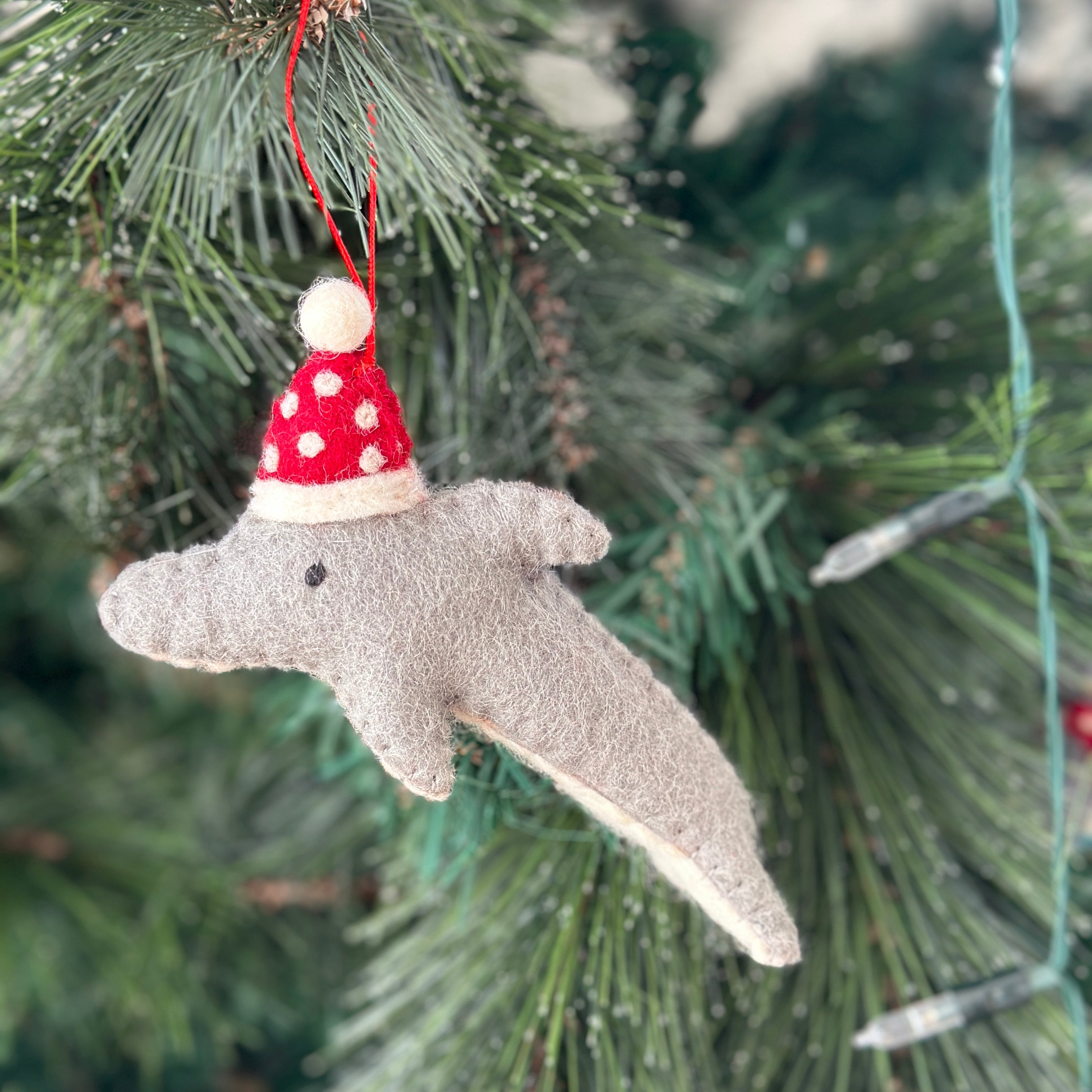 Pashom Christmas Ornament - Dolphin with Hat