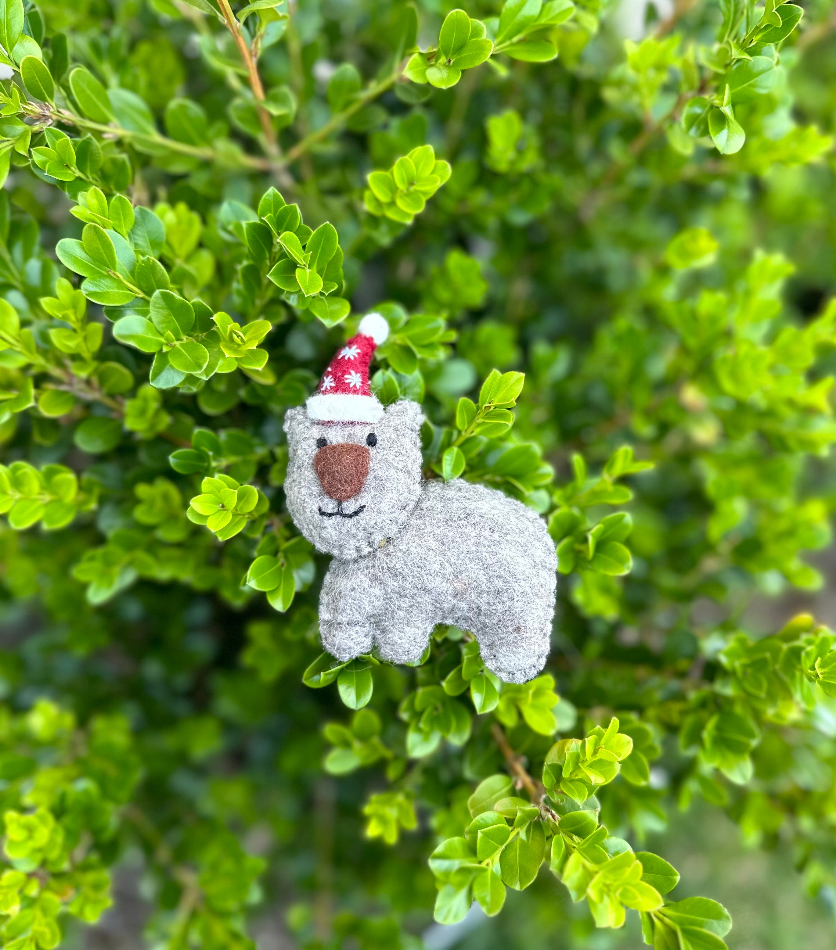 Pashom: Xmas Ornament Wombat with hat