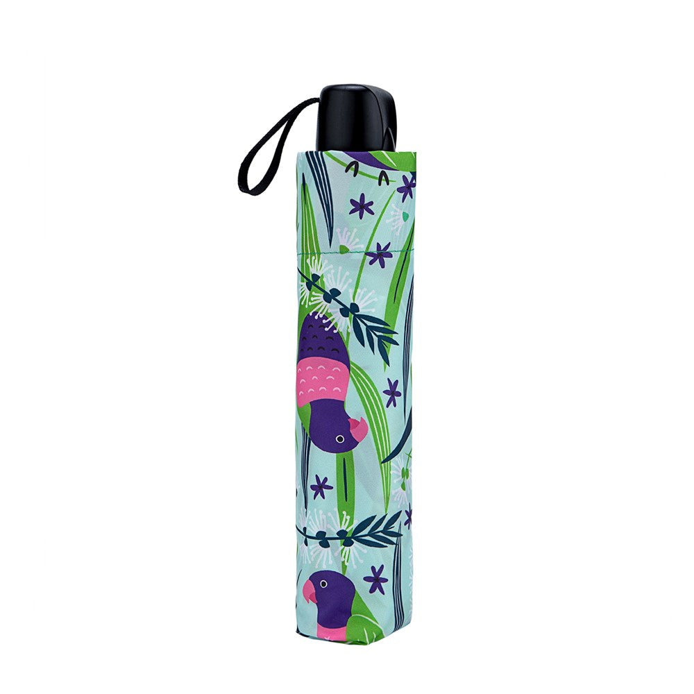 Small Umbrella Lorikeets in the Melaleucas