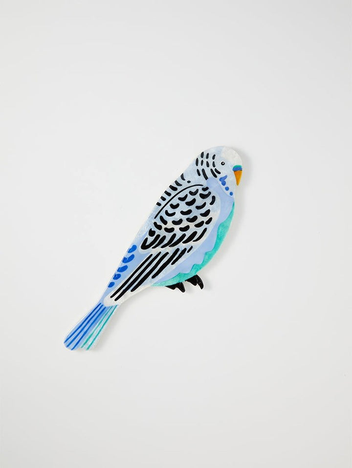 Aerial Budgie Wall Art