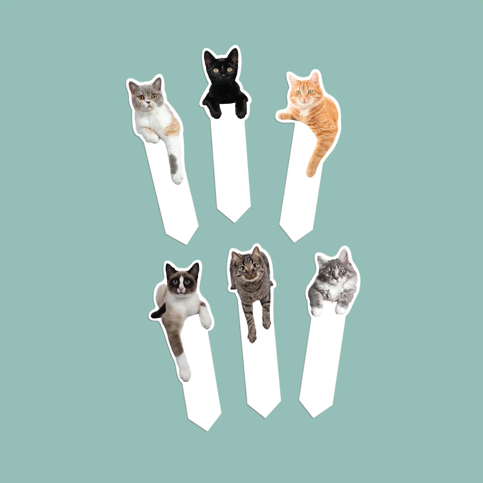 Pikkii: Page Markers Cat