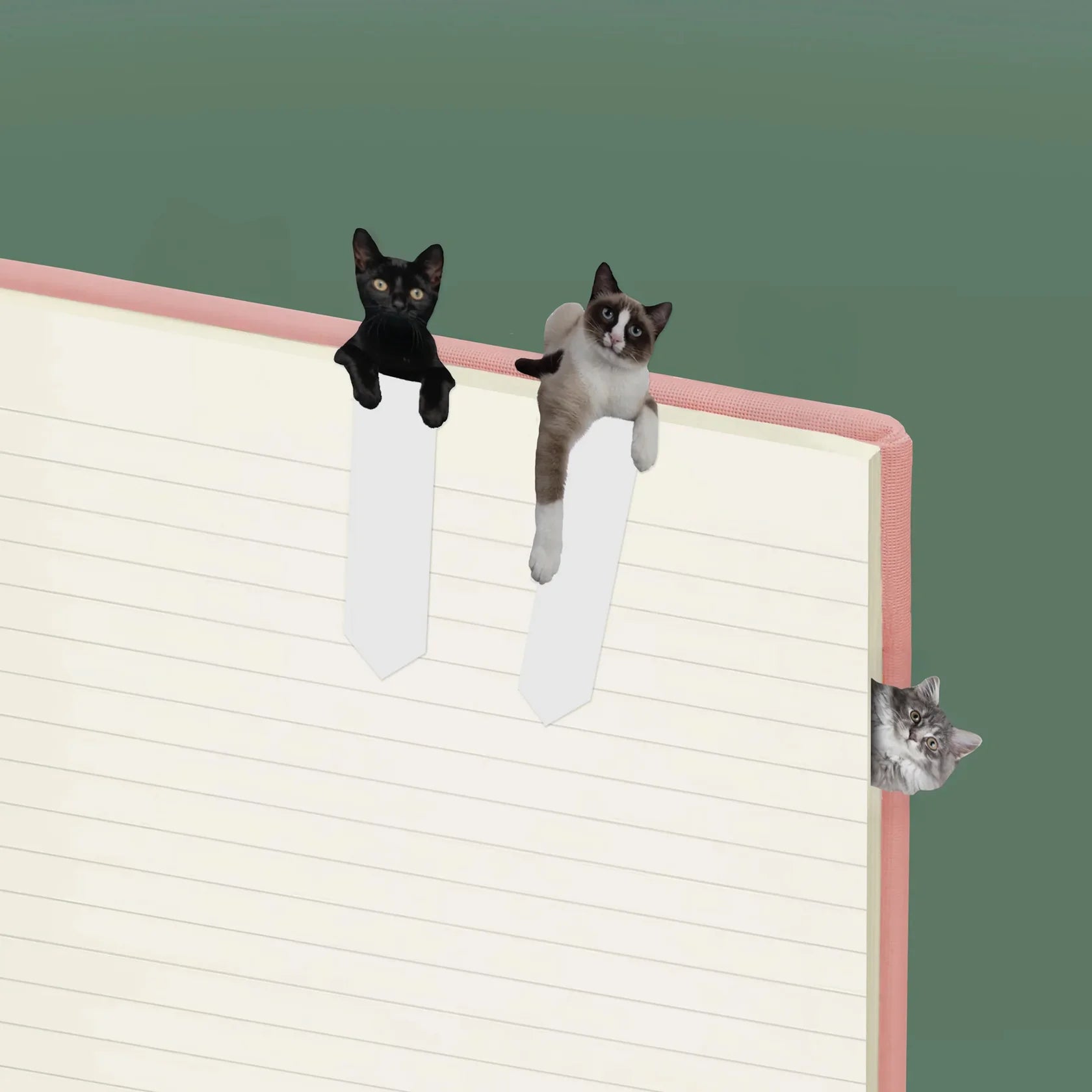 Pikkii: Page Markers Cat
