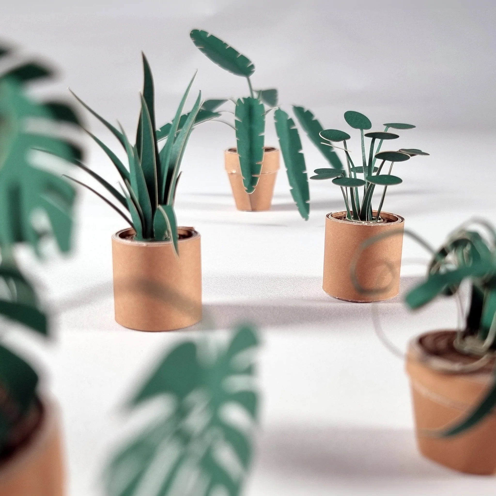 Pikkii: Paper Plant