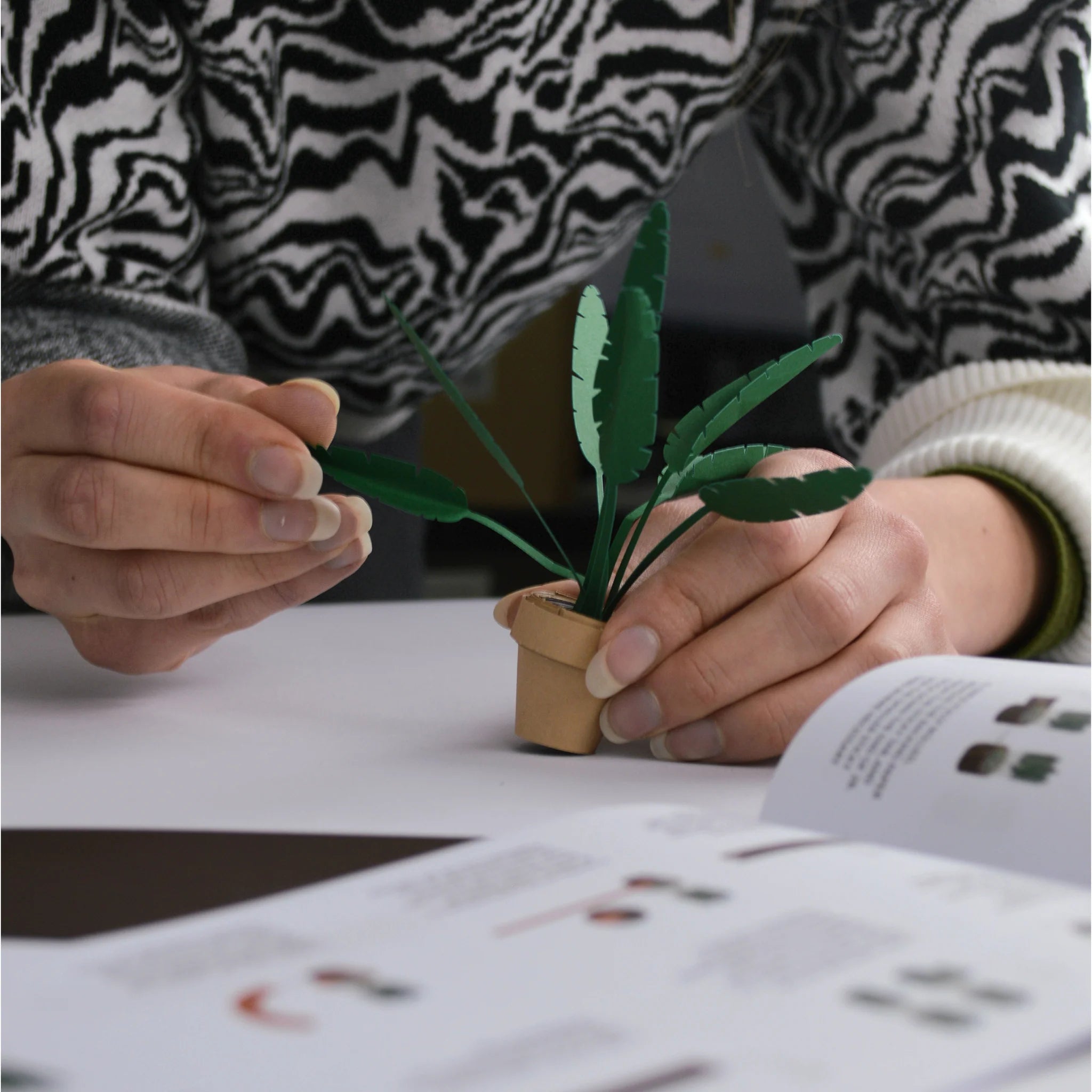 Pikkii: Paper Plant
