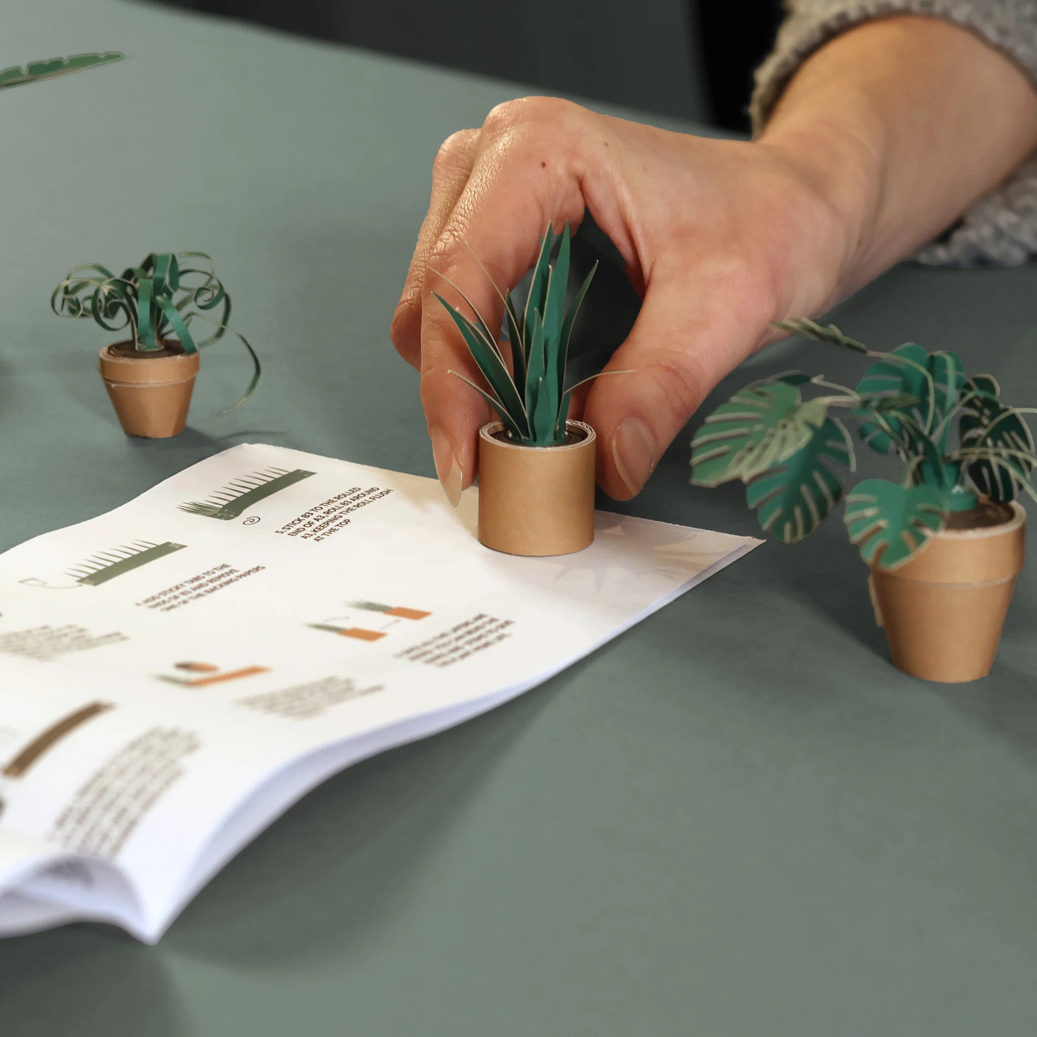 Pikkii: Paper Plant