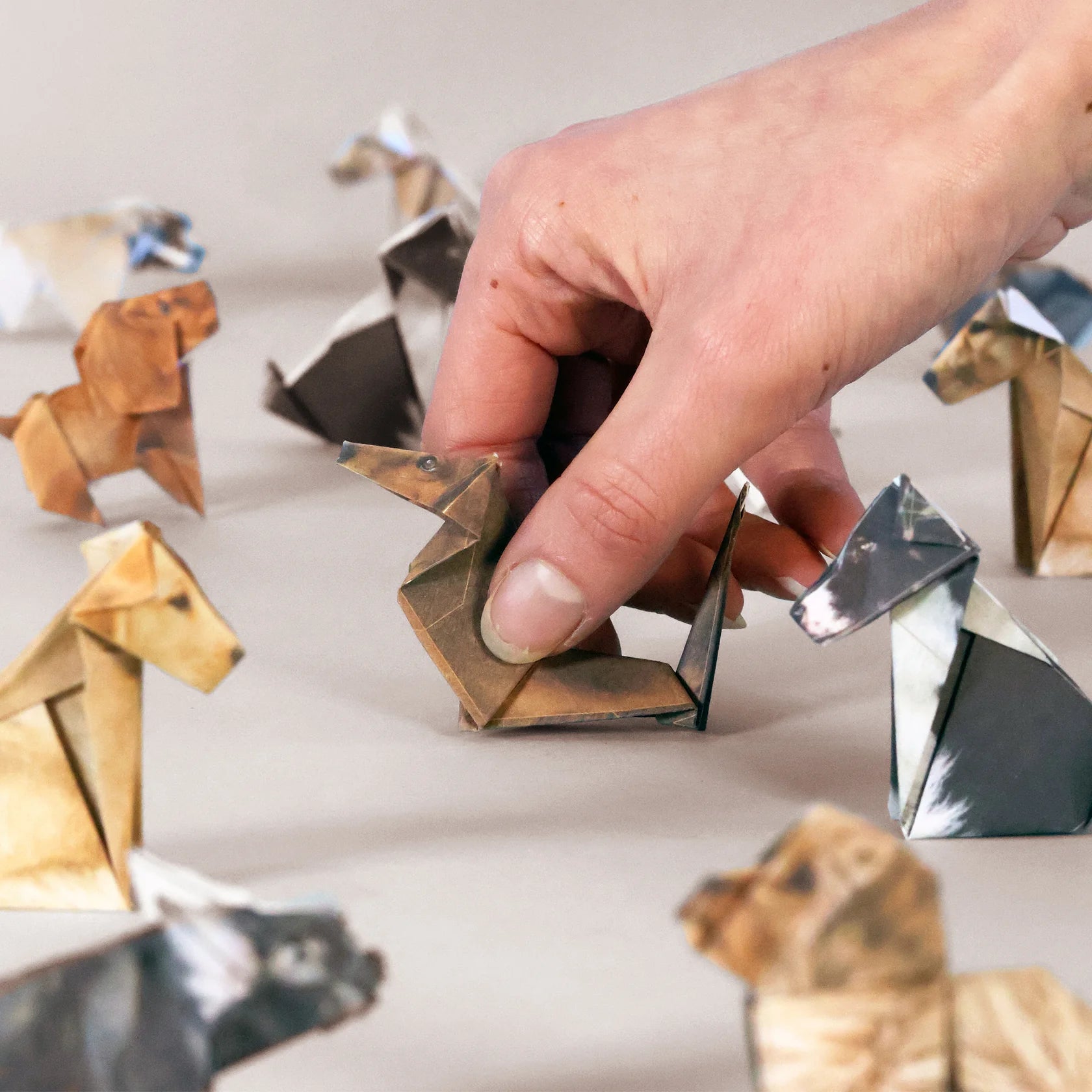 Pikkii: Paper Pups
