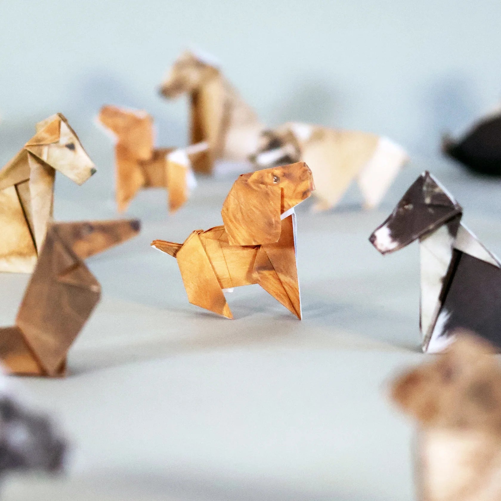 Pikkii: Paper Pups