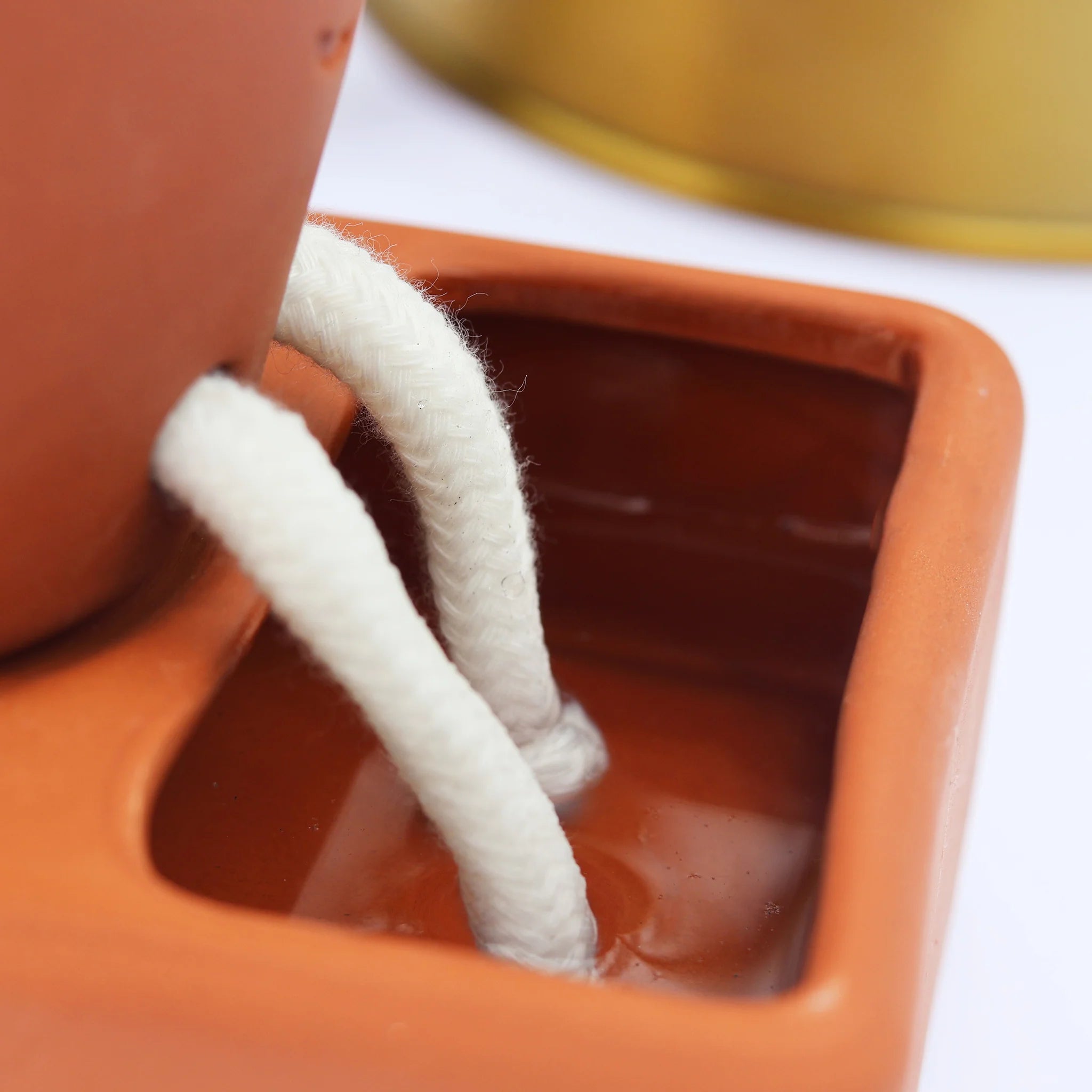 Pikkii: Planter Self Care