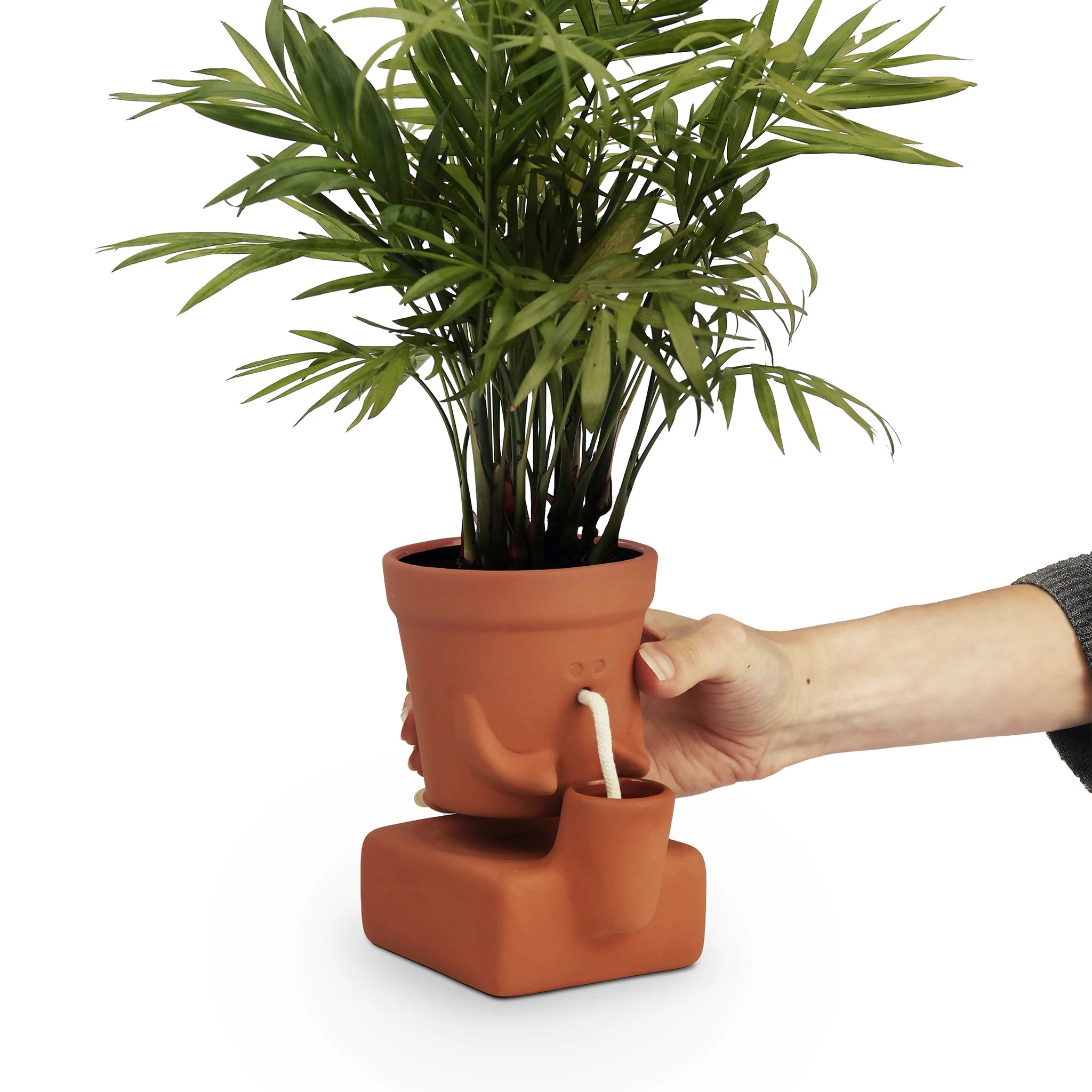 Pikkii: Planter Thirsty