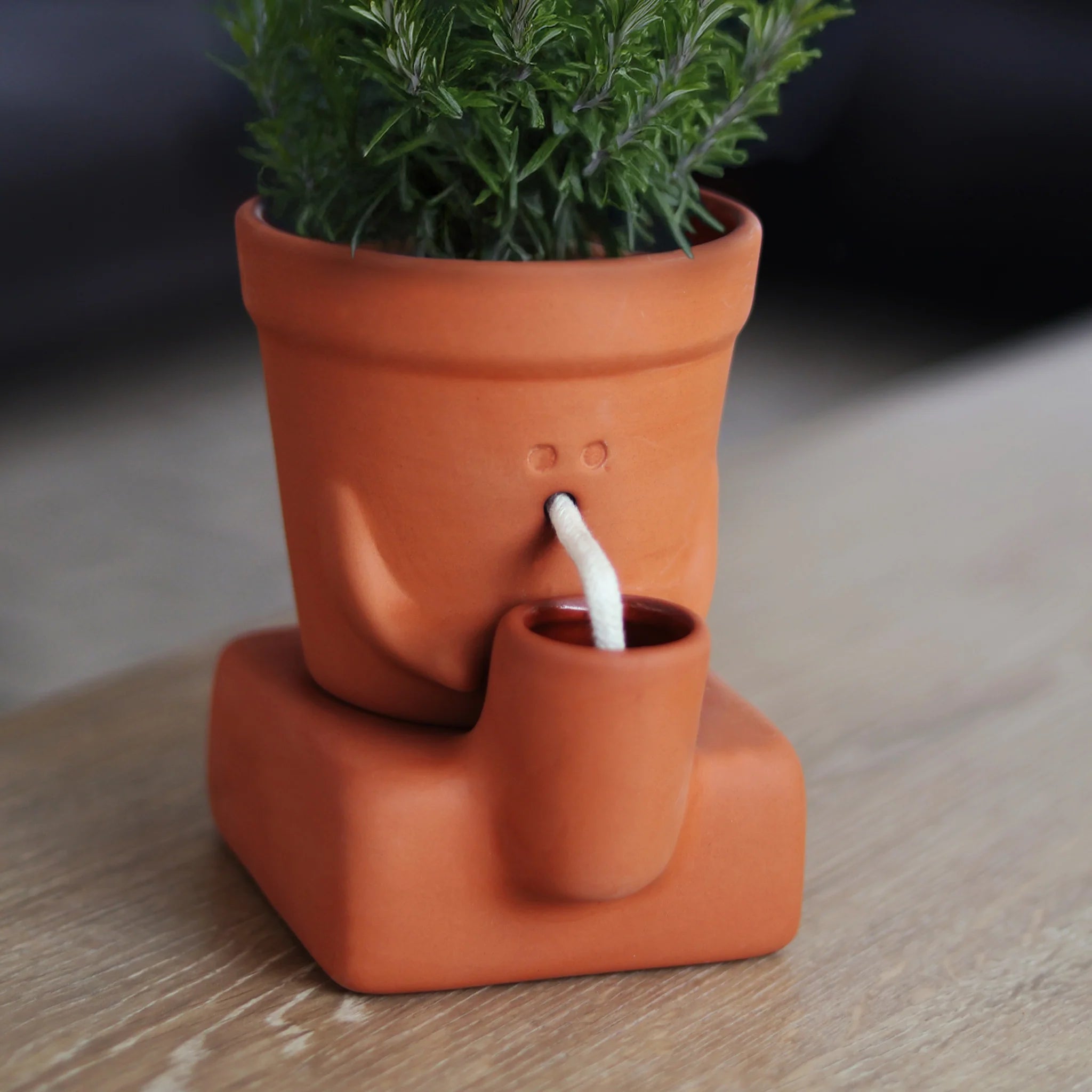 Pikkii: Planter Thirsty