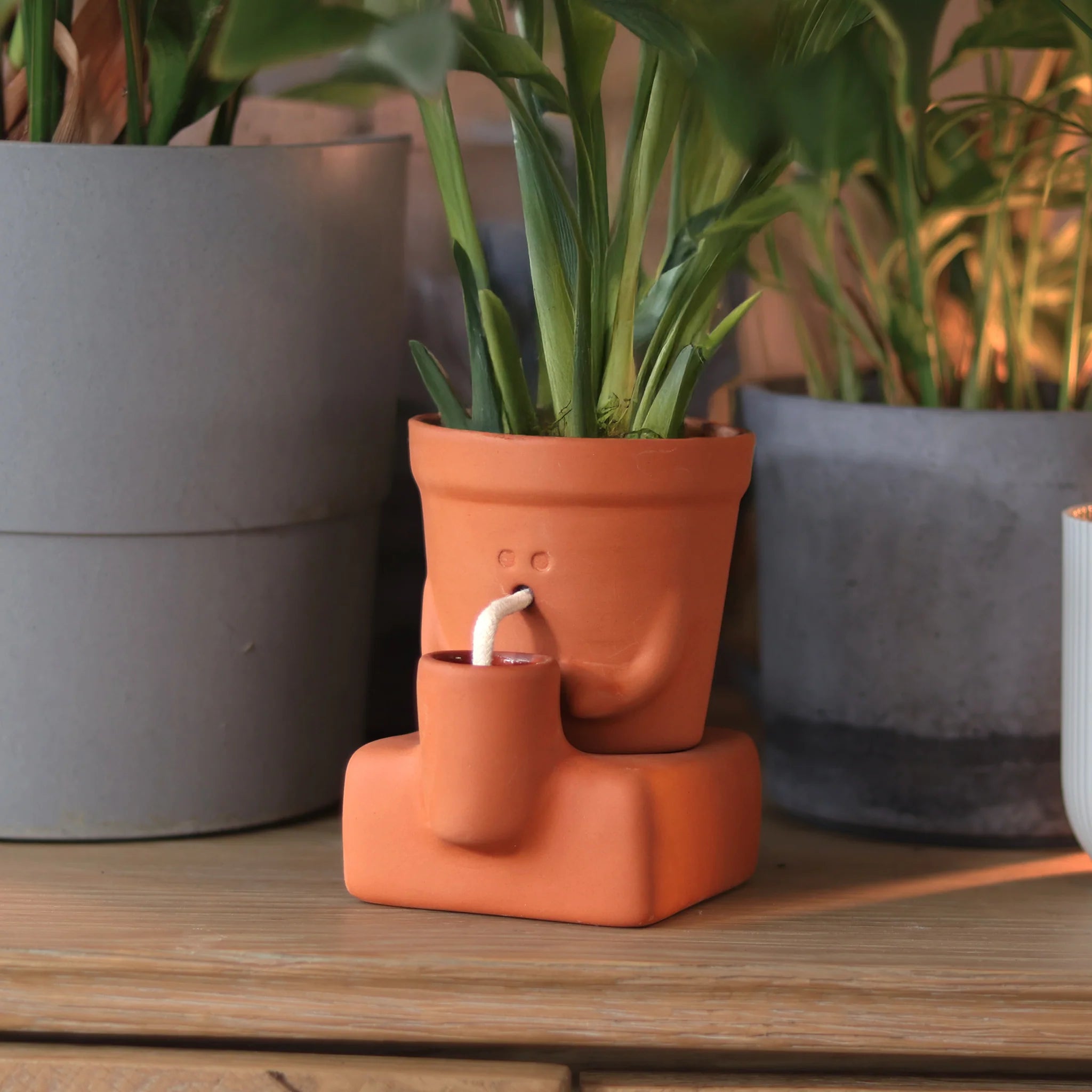 Pikkii: Planter Thirsty