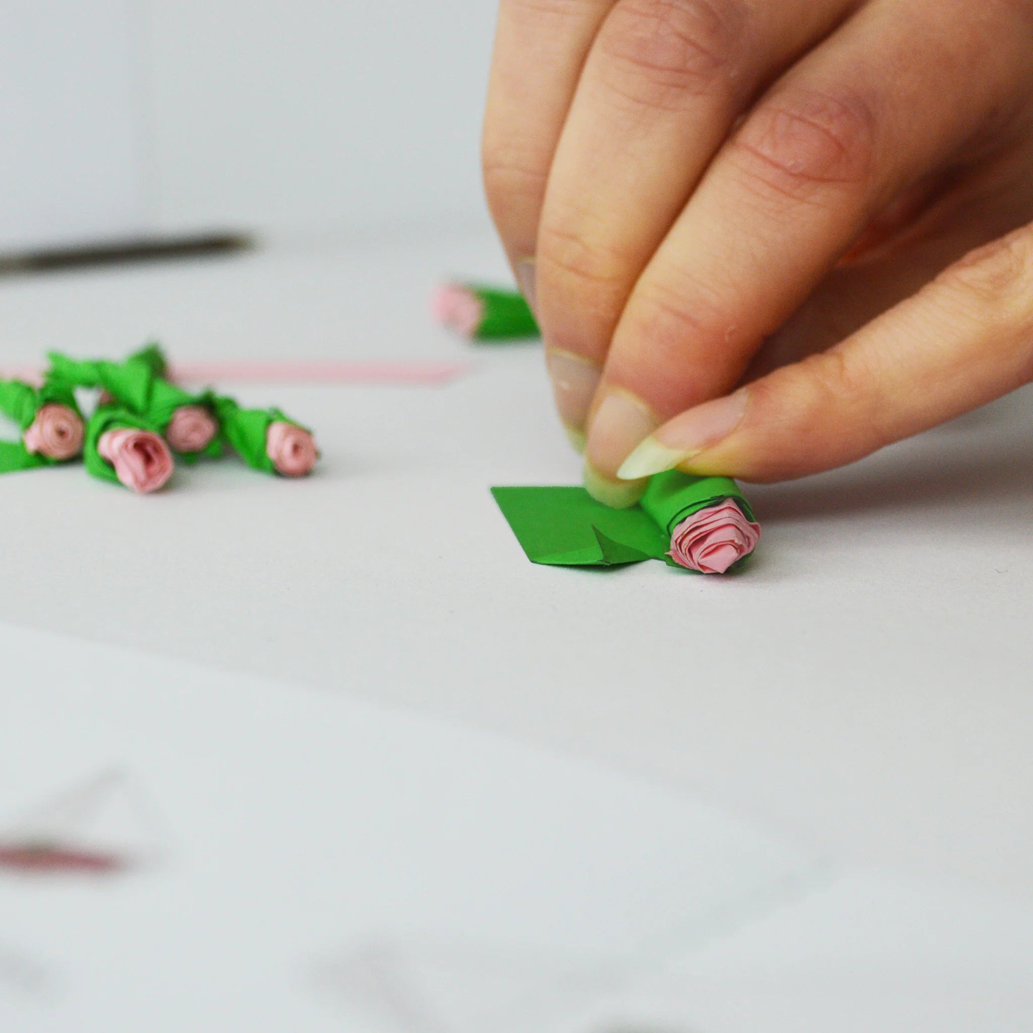 Pikkii: Write Me Roses