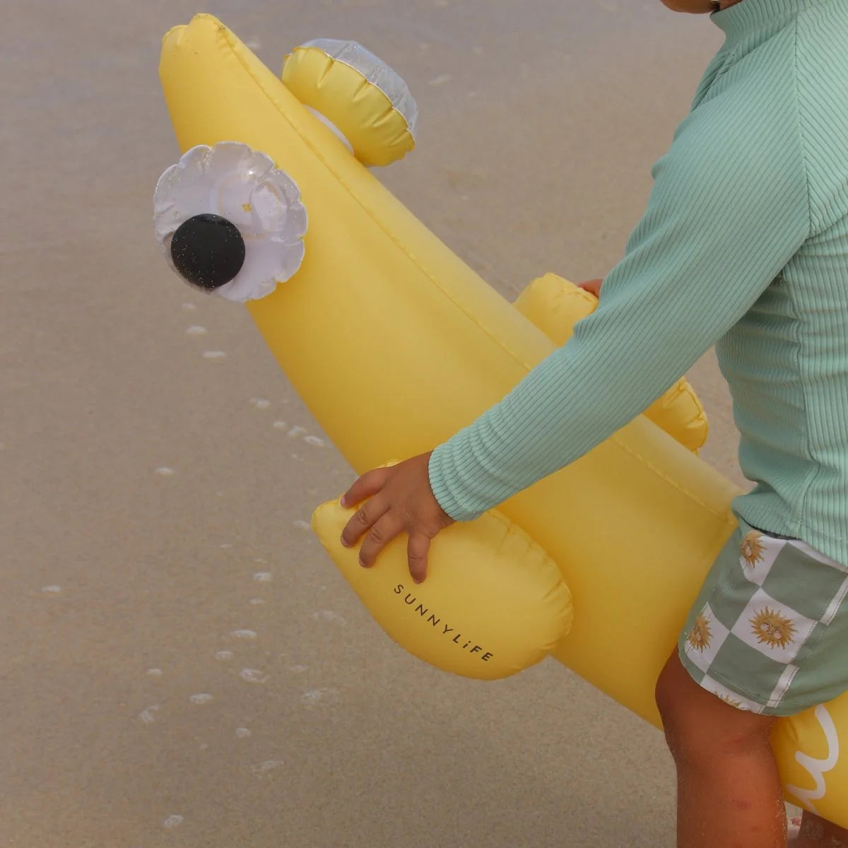 Sunnylife: Kids Inflatable Noodle - Finn the Fish Set of 2